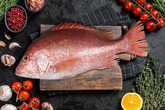 تصویر 1 از عرضه عمده ماهی سرخو معمولی صادراتی